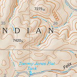 Lincoln National Forest Quadrangle: TURKEY PEAK Preview 2