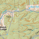 Lincoln National Forest Quadrangle: BEAR SPRING Preview 2