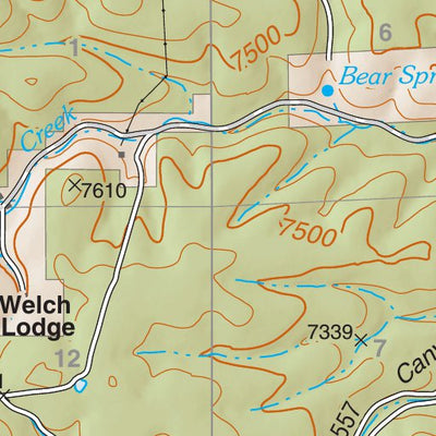 Lincoln National Forest Quadrangle: BEAR SPRING Preview 2