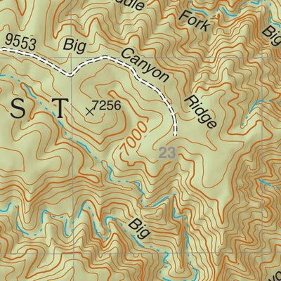 Lincoln National Forest Quadrangle: EL PASO GAP Preview 3