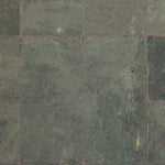 CO-CAMPO SW: GeoChange 1973-2011 Preview 2