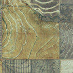 CO-BIG ROCK GRANGE: GeoChange 1969-2011 Preview 3