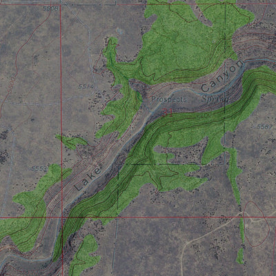 CO-JONES LAKE SPRING: GeoChange 1969-2009 Preview 3