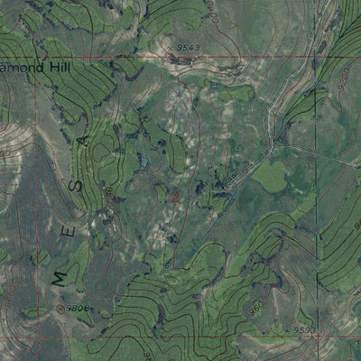CO-GRAY HEAD: GeoChange 1952-2011 Preview 2