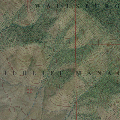 UT-CHARLESTON: GeoChange 1963-2011 Preview 2