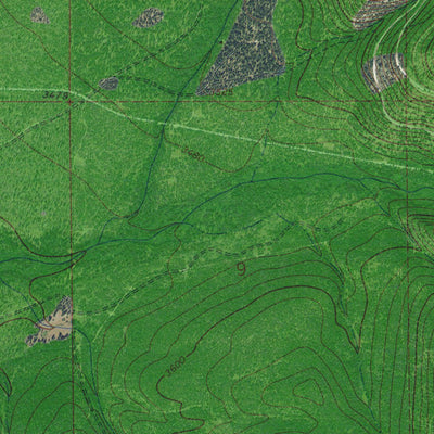 MT-LONEMAN CREEK: GeoChange 1963-2013 Preview 2