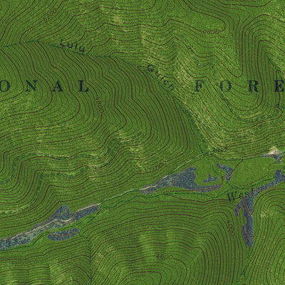 MT-FISHTRAP LAKE: GeoChange 1965-2013 Preview 2