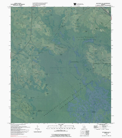 GA-WAYCROSS SE: GeoChange 1966-2013 Preview 1