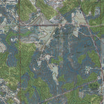 AL-GA-FORT MITCHELL: GeoChange 1945-2013 Preview 2