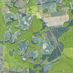 GA-BIRDSVILLE: GeoChange 1973-2013 Preview 3