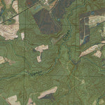 NC-ELIZABETHTOWN SOUTH: GeoChange 1980-2012 Preview 2