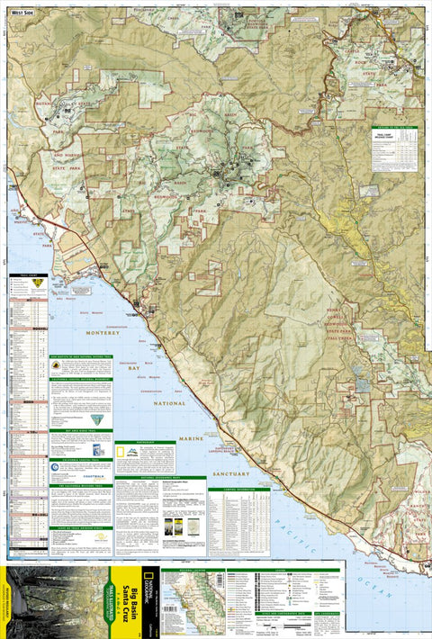 816 Big Basin, Santa Cruz (west side) Preview 1