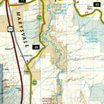 708 Paiute ATV Trail [Fish Lake National Forest, BLM] (south side) Preview 2