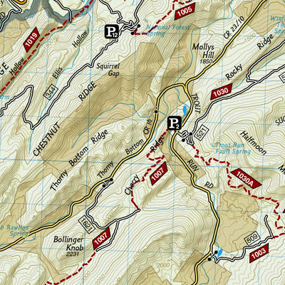 792 Massanutten and Great North Mountains [George Washington National Forest] (east side) Preview 3