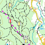 Pădurea Făget-CLUJ (Bükk- Kolozsvár) Preview 2