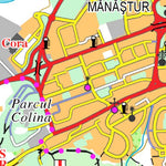 Pădurea Făget-CLUJ (Bükk- Kolozsvár) Preview 3