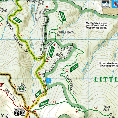 318 Mount Rogers High Country [Grayson Highlands State Park] (east side) Preview 2