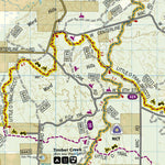 758 Manistee North [Manistee National Forest] (south side) Preview 3