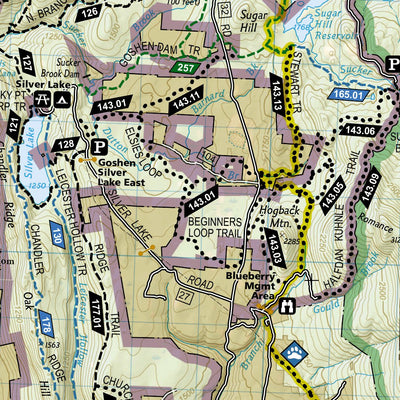747 Green Mountain National Forest North [Moosalamoo National Recreation Area, Rutland] (west side) Preview 2