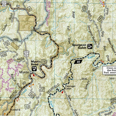 751 Black Hills North [Black Hills National Forest] (east side) Preview 3