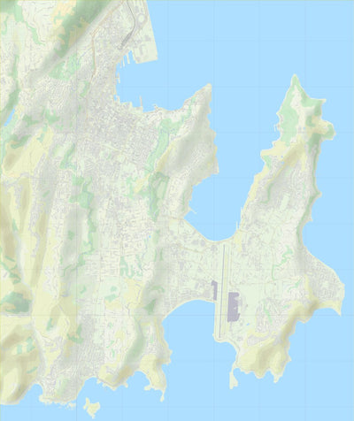 Wellington NZ Street Map Preview 1