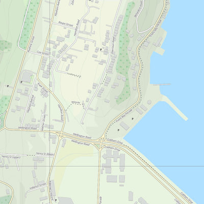 Wellington NZ Street Map Preview 2
