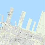 Auckland NZ Street Map Preview 2