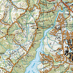 Auckland NZ Preview 3