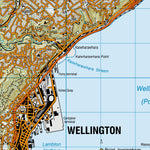 Wellington NZ Preview 2