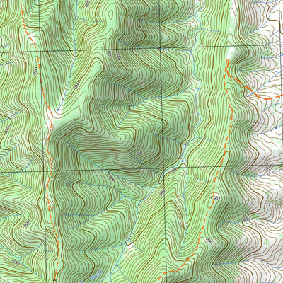 8831-1S CAPERTEE Preview 3