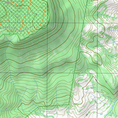 9341-2N KILLARNEY Preview 3