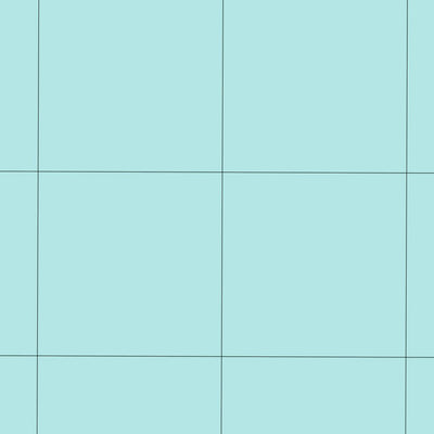 9433-3S SEAL ROCKS Preview 2