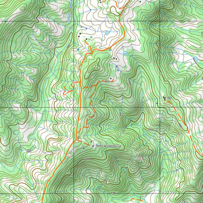 9540-4N NIMBIN Preview 3