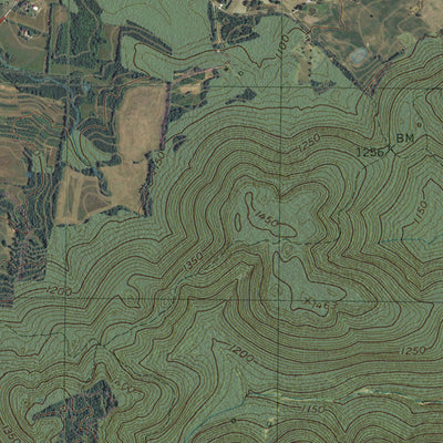 TN-VIOLA: GeoChange 1950-2012 Preview 2