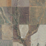 KS-AMY SE: GeoChange 1972-2012 Preview 3