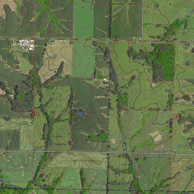 MO-RUTLEDGE: GeoChange 1963-2014 Preview 2