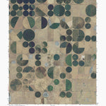 TX-BIRD RANCH STORE: GeoChange 1962-2012 Preview 1