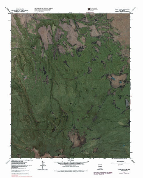 NM-CERRO PELON: GeoChange 1958-2014 Preview 1