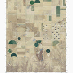 TX-BOOKER SW: GeoChange 1972-2012 Preview 1