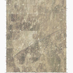 TX-COBURN: GeoChange 1971-2012 Preview 1