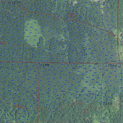 MN-WILDWOOD NE: GeoChange 1969-2013 Preview 2