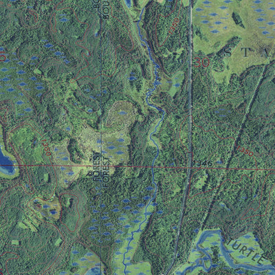 MN-TURTLE RIVER LAKE: GeoChange 1969-2013 Preview 3