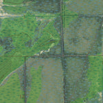 MN-MEADOWLANDS NW: GeoChange 1953-2013 Preview 2