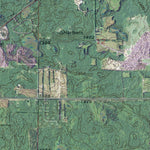 MN-TURTLE RIVER: GeoChange 1972-2013 Preview 2