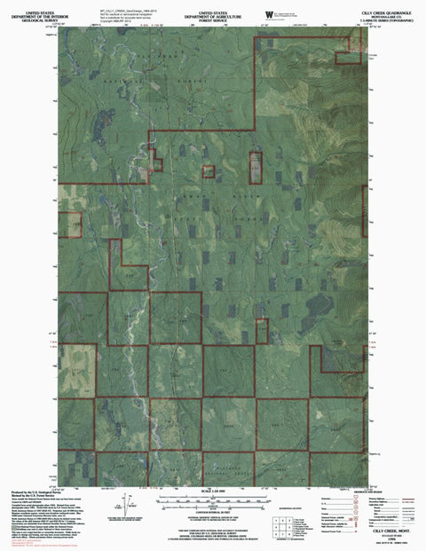 MT-CILLY CREEK: GeoChange 1964-2013 Preview 1