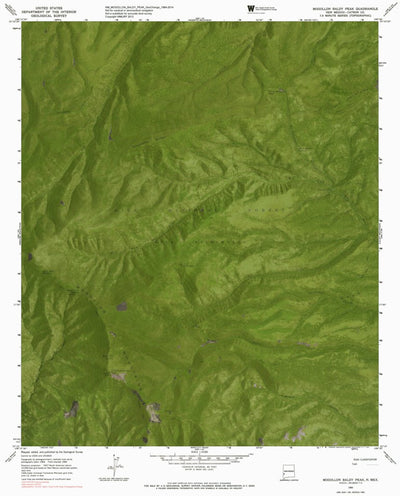 NM-MOGOLLON BALDY PEAK: GeoChange 1964-2014 Preview 1