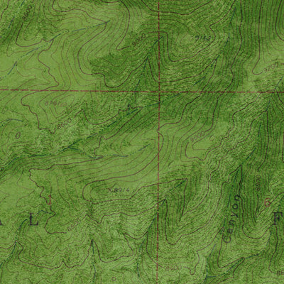NM-PITCHFORK CANYON: GeoChange 1958-2014 Preview 2