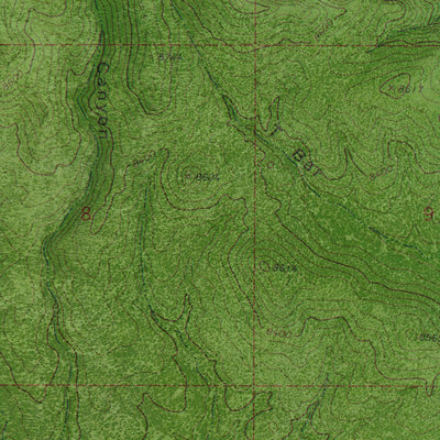 NM-PITCHFORK CANYON: GeoChange 1958-2014 Preview 3