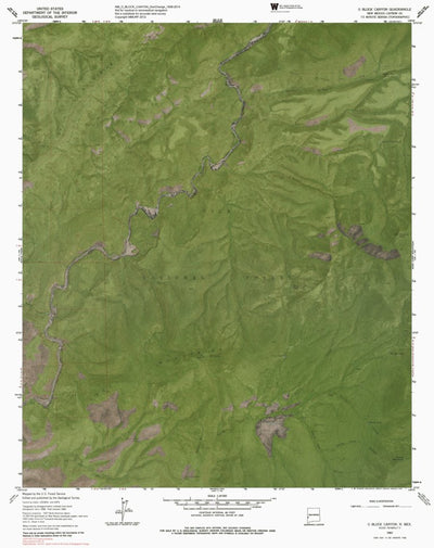 NM-O BLOCK CANYON: GeoChange 1958-2014 Preview 1