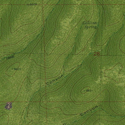 NM-MANGAS MOUNTAIN: GeoChange 1969-2014 Preview 3